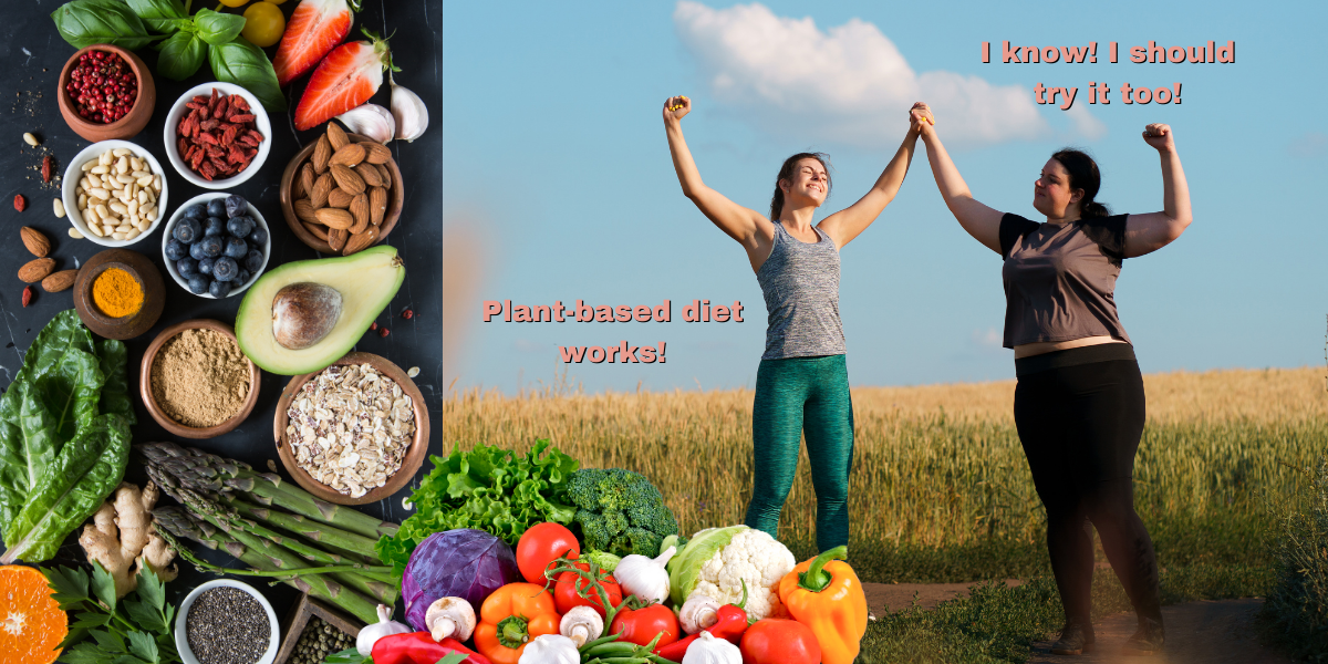 1200x600-plant-based-diet_1600x.png?v\u0